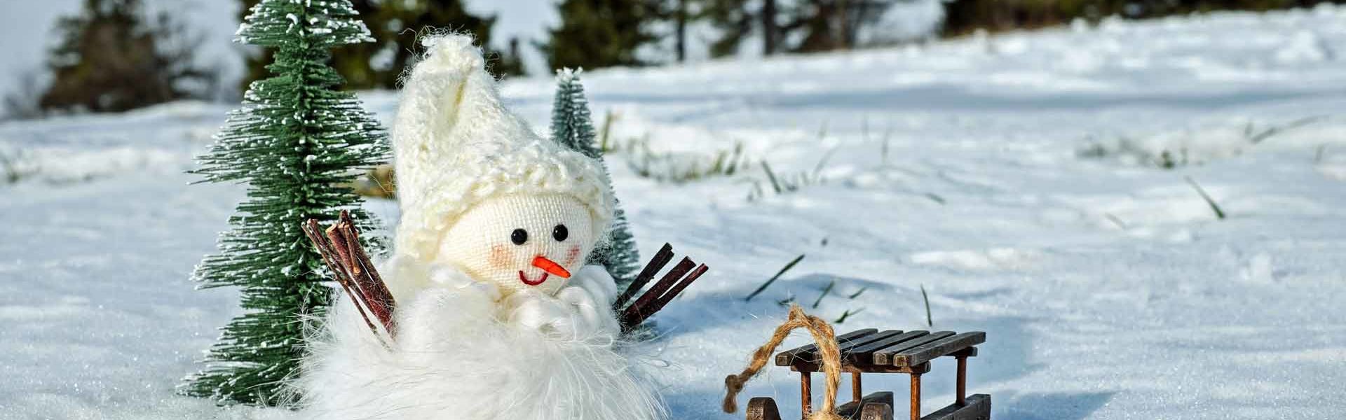 snow-man-2955780 snow-man-2955780